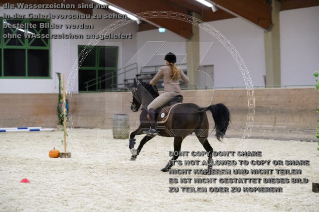 s_K3F01996.JPG